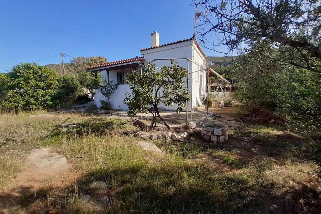 Elafonisos Detached House In Quiet Olive Grove, Starlink Internet & Smart Projector!别墅 外观 照片